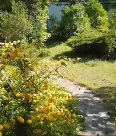Kertbol A Hegyre Nyaralohaz