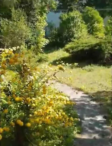 Kertbol A Hegyre Nyaralohaz