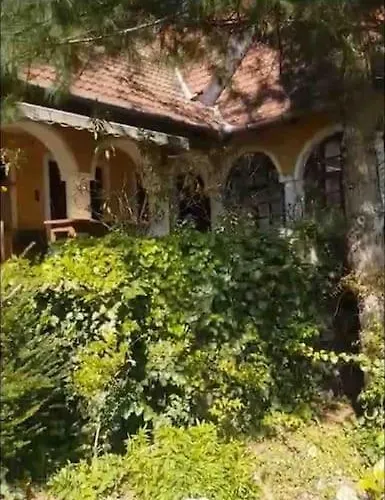 Kertbol A Hegyre Nyaralohaz