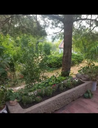 Kertbol A Hegyre Nyaralohaz בית נופש *